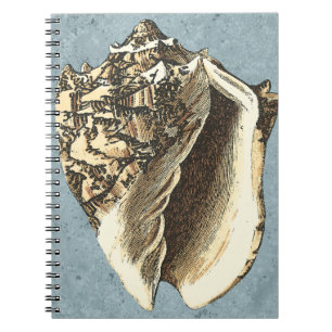 Stonewashed Conch Shell Notebook