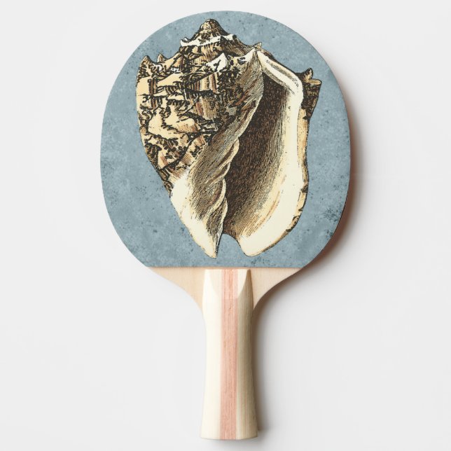Stonewashed Conch Shell Ping Pong Paddle (Front)
