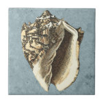 Stonewashed Conch Shell Tile<br><div class="desc">Get this unique stonewashed Conch seashell image on your next product. This amazing,  blue background with a tan Conch will look great on anything. Take the beach with you everywhere you go.</div>