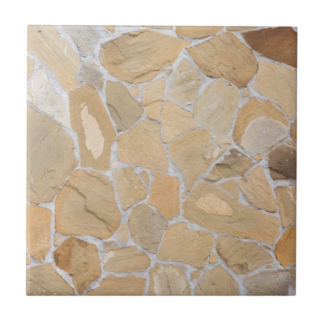 Stony pattern ceramic tile (Front)