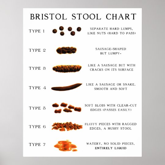 39 top images cat stool color chart the fascinating facts behind cat