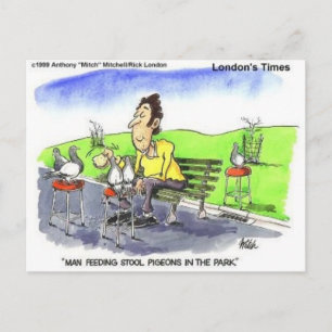 Stool Pigeons Funny Gifts Tees & Collectibles Postcard