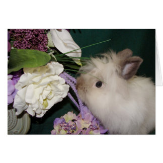 Stop and Smell the Flowers 3