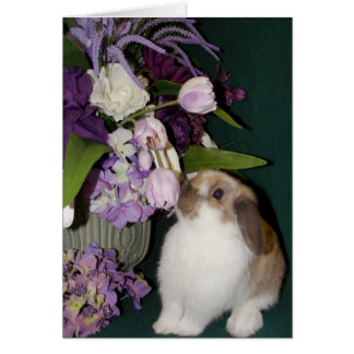 Stop and Smell the Flowers 4