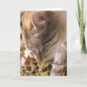 Stop and Smell the Flowers Card