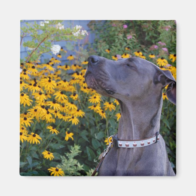 Stop and Smell the Flowers Magnet (Front)