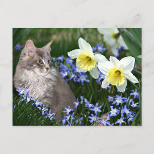 Stop and smell the flowers postcard
