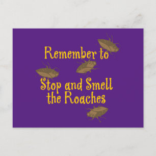 Stop and Smell the Roaches Purple BG Postcard