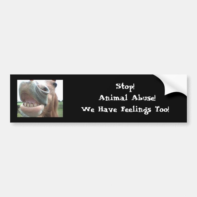 Stop! Animal Abuse! BumperSticker Bumper Sticker (Front)