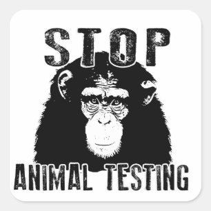 Stop Animal Testing - Chimpanzee Square Sticker