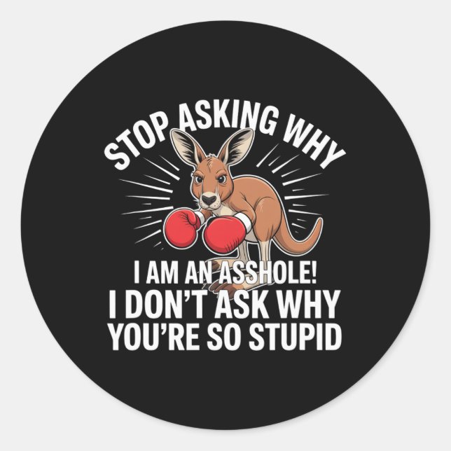 Stop Asking Why I Am An Hole  Classic Round Sticker (Front)