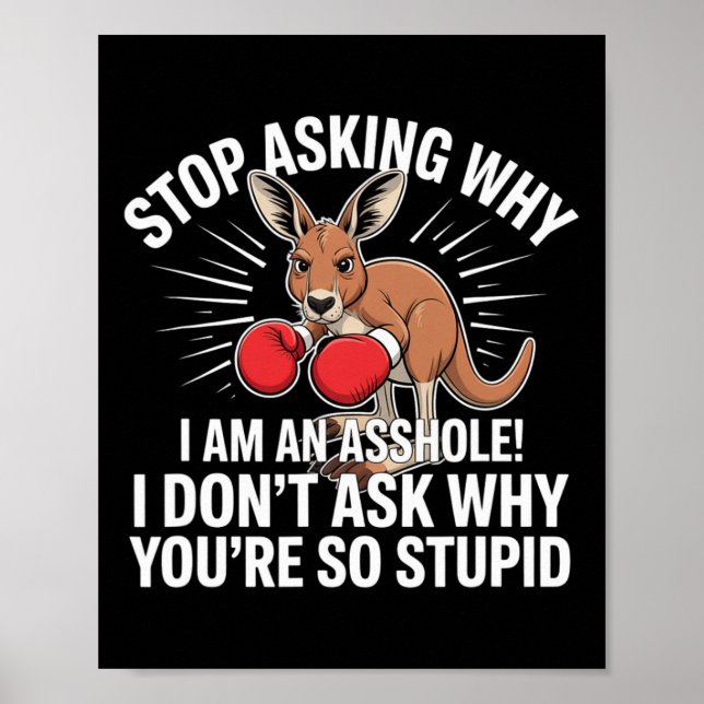 Stop Asking Why I Am An Hole  Poster (Front)