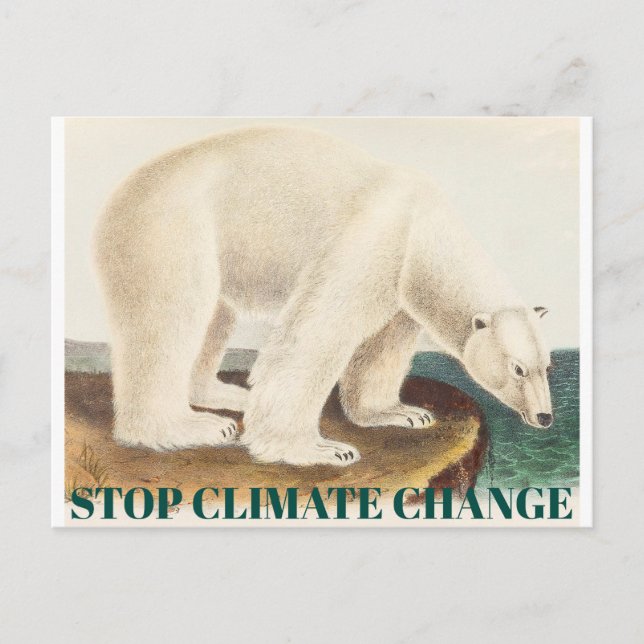 Stop Climate Change Endangered Arctic Polar Bear Postcard (Front)