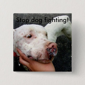 Stop dog fighting! button