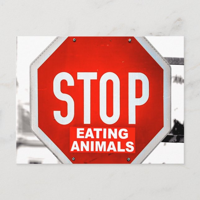 Stop Eating Animals Vegetarian Vegan Postcard (Front)