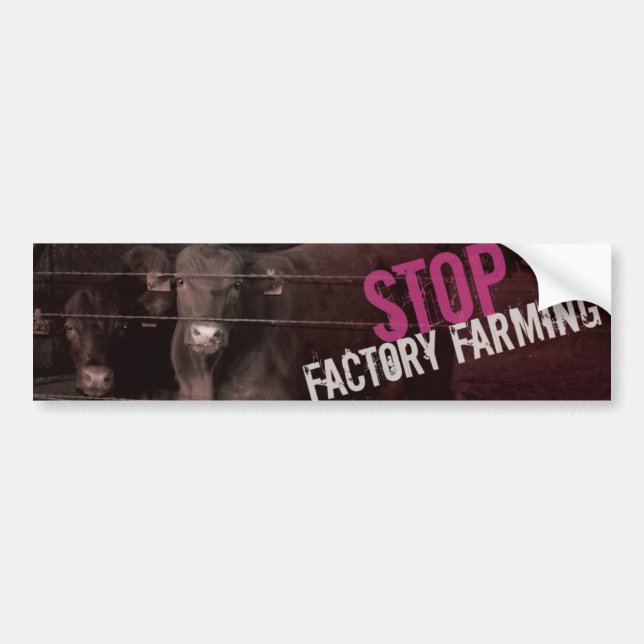 Stop Factory Farming - Pink Bumper Sticker (Front)