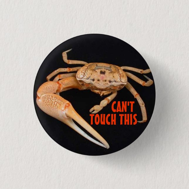 Stop- Fiddler Time 3 Cm Round Badge (Front)