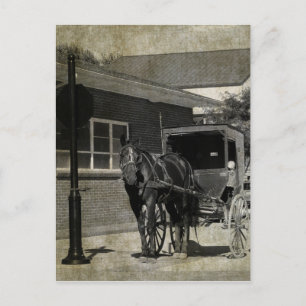 Stop for A Spell, Amish Horse at Stop Sign Postcard