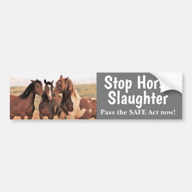Stop Horse Slaughter Bumper Sticker (Front)