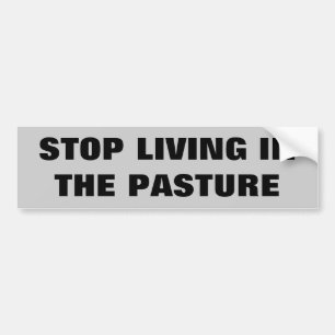 Stop Living in the Pasture, Horse Trailer Bumper Sticker