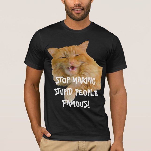 Stop Making Stupid People Famous Orange Cat T-Shirt (Front)