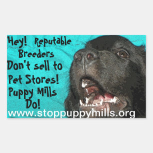 Stop Puppy Mills Magnet Rectangular Sticker