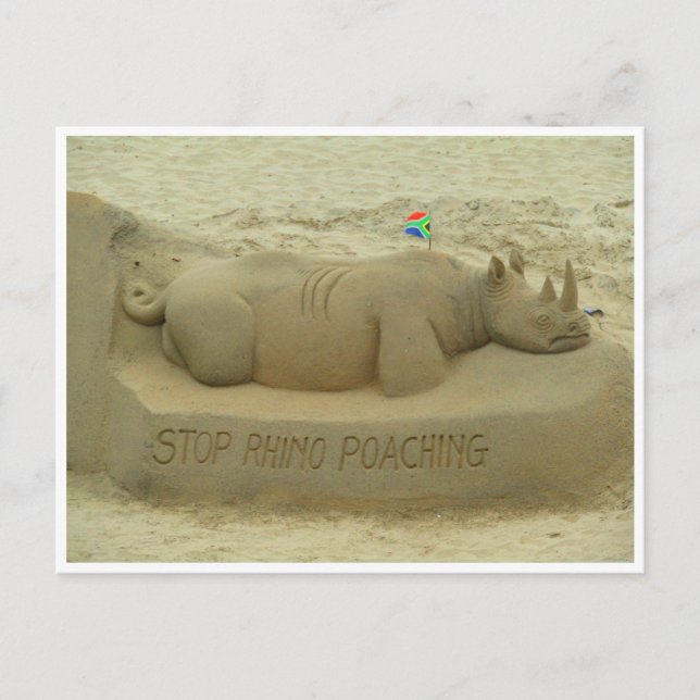 stop rhino poaching postcard (Front)