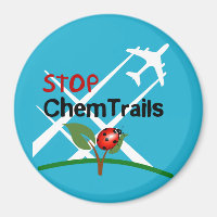 Stop Sign Plane Aerosol Trails LadyBug