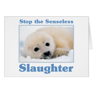 Stop slaughter-seals