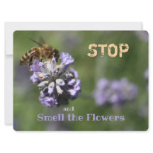 Stop Smell Flowers Quote