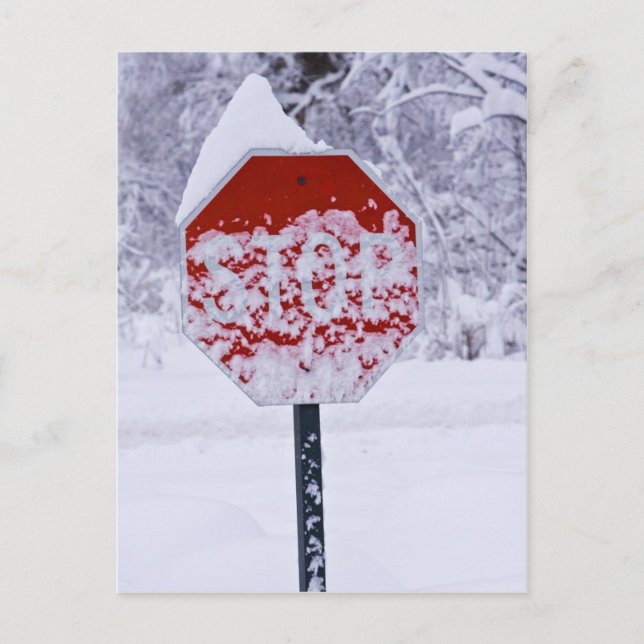 Stop Snowing! Postcard (Front)