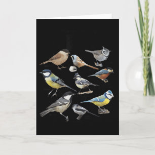 Stop Staring At My Funny Birds Lover Saying Quote  Card