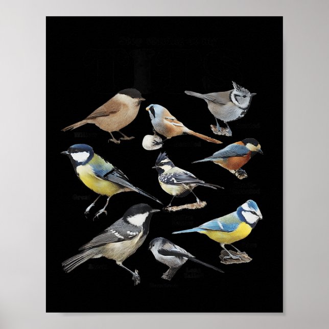 Stop Staring At My Funny Birds Lover Saying Quote  Poster (Front)