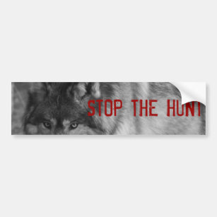 "StoP THE HUNT" Wild Wolf Bumper Sticker