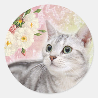 Stop To Smell The Roses Classic Round Sticker