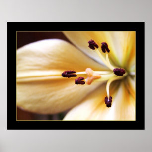 Stopped Clock Flower Poster