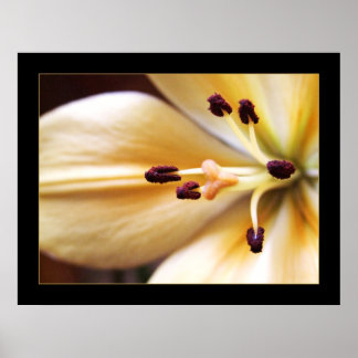 Stopped Clock Flower Poster