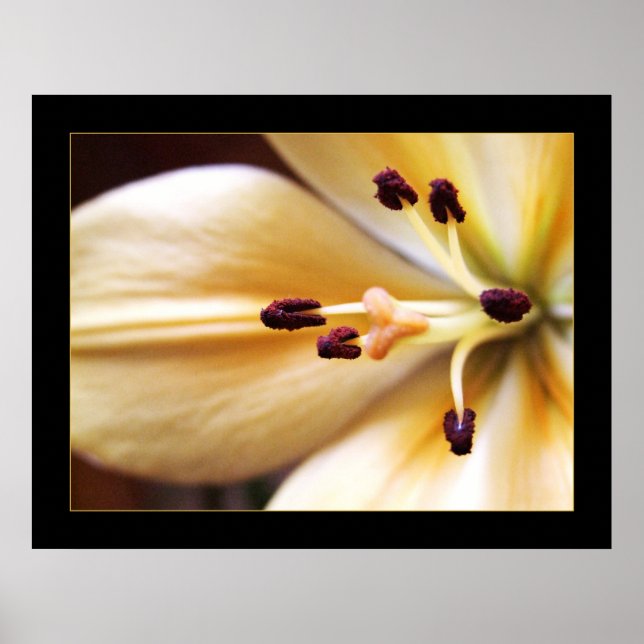 Stopped Clock Flower Poster (Front)