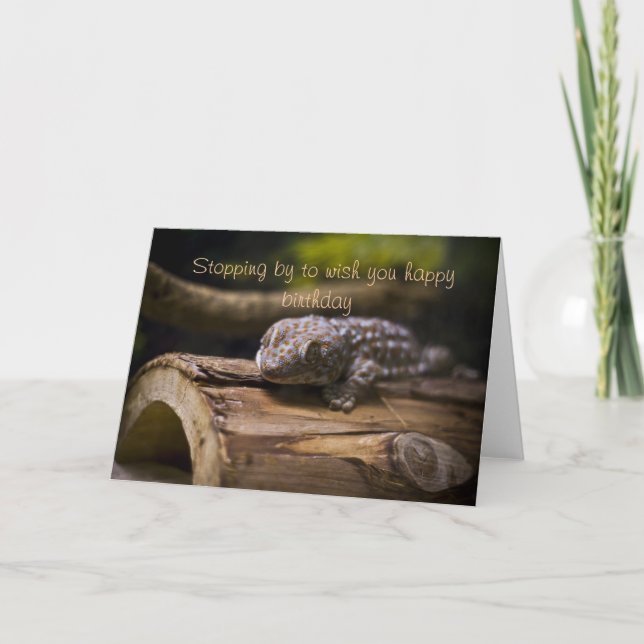 Stopping by, Birthday wishes Card (Front)