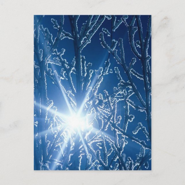 Stopping by Woods on a  snowy evening Postcard (Front)