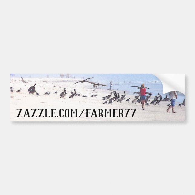 Store Address Beach Pelican Birds Bumper Sticker (Front)