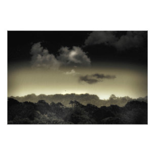 Stored in the Cloud Photo Print