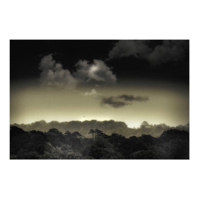 Stored in the Cloud Photo Print (Front)