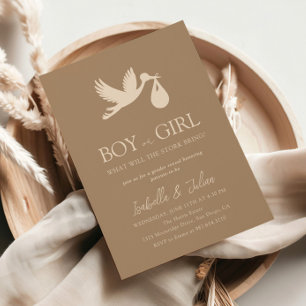 Stork Baby Delivery Boy Or Girl Gender Reveal Invitation
