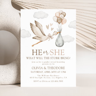 Stork Baby Delivery He or She Gender Reveal Party Invitation
