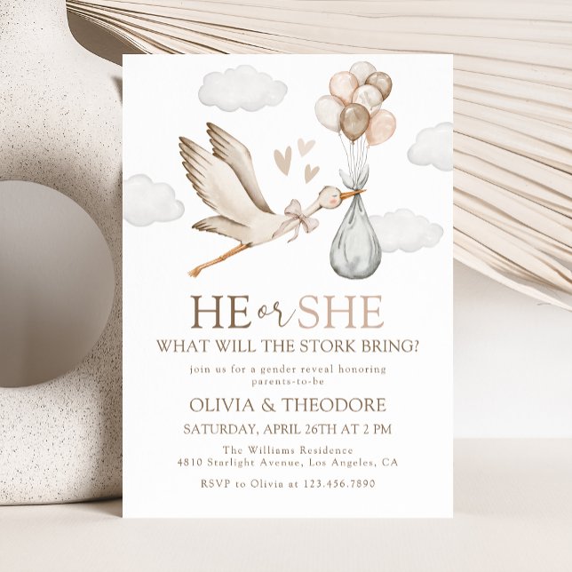 Stork Baby Delivery He or She Gender Reveal Party Invitation (Creator Uploaded)