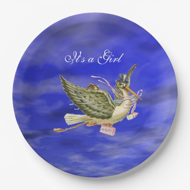 STORK BABY GIRL SHOWER  Blue Sky Paper Plate (Front)