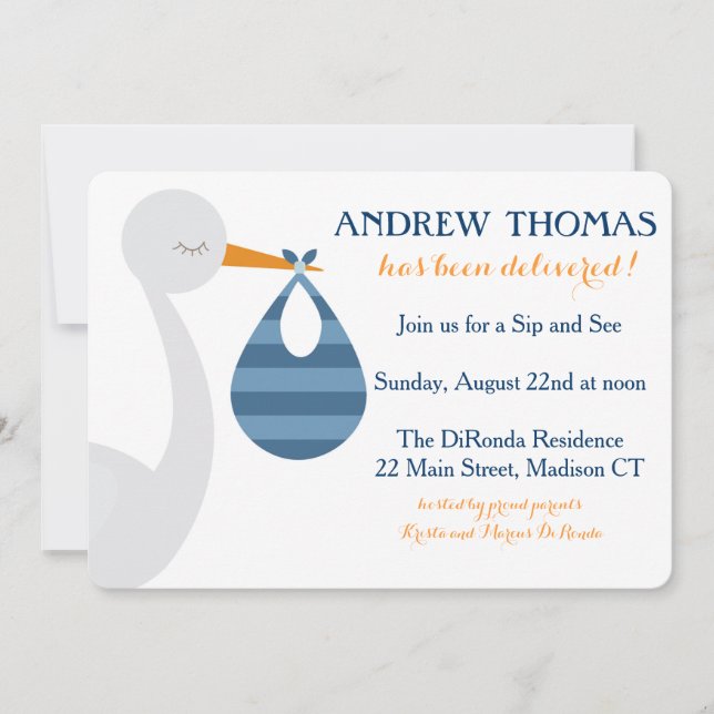 Stork Baby Invitation / Baby Announcement (Front)