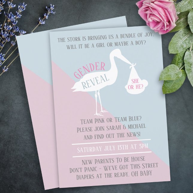 Stork Baby Pink or Blue Gender Reveal Invitation (A stork Gender Reveal Invitation. If you want a version with a digital download - get in touch)