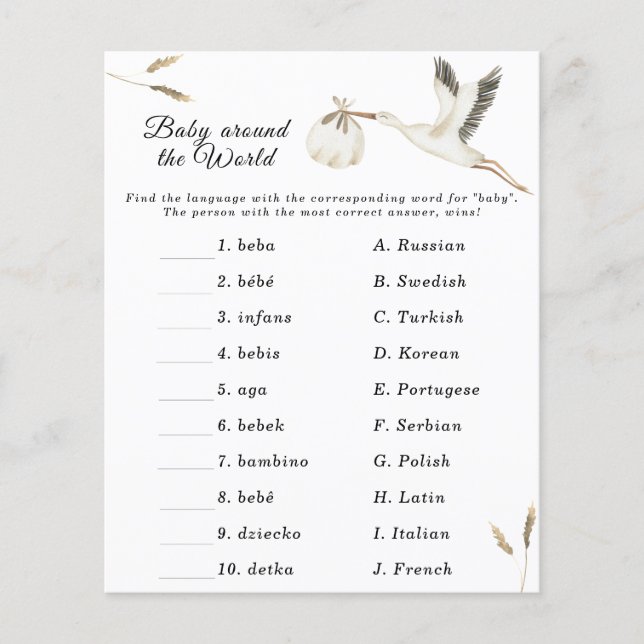 Stork baby shower - Baby around the world game (Front)